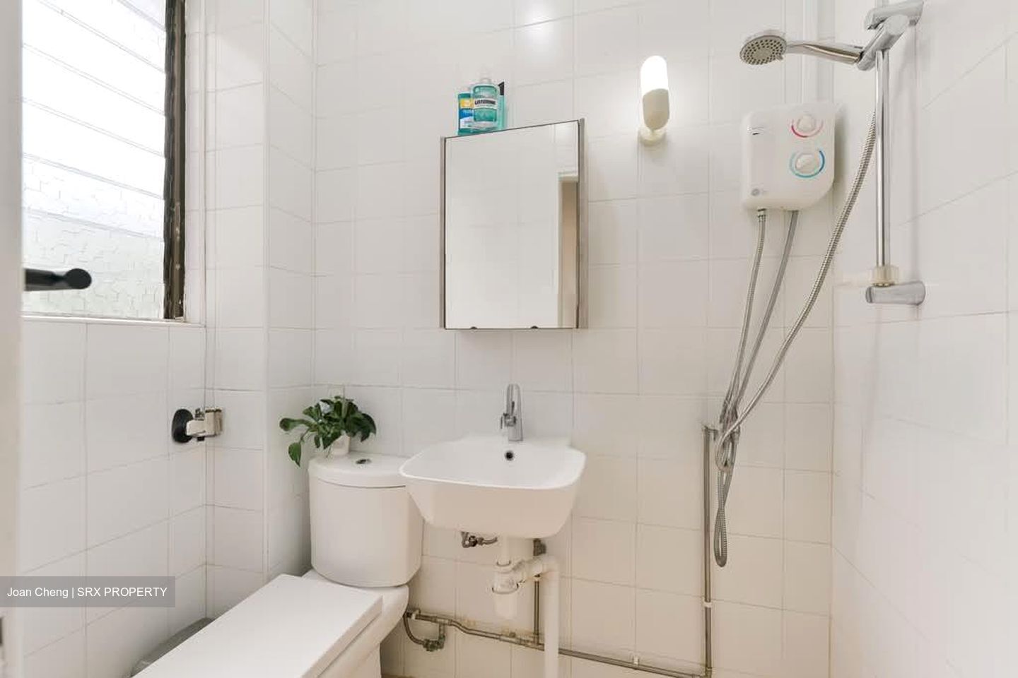 Botanic Gardens Mansion (D10), Apartment #532093021